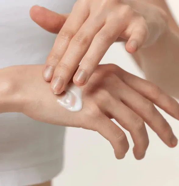 Beauty of Joseon, Dynasty Cream 50ml - Coree Beauty