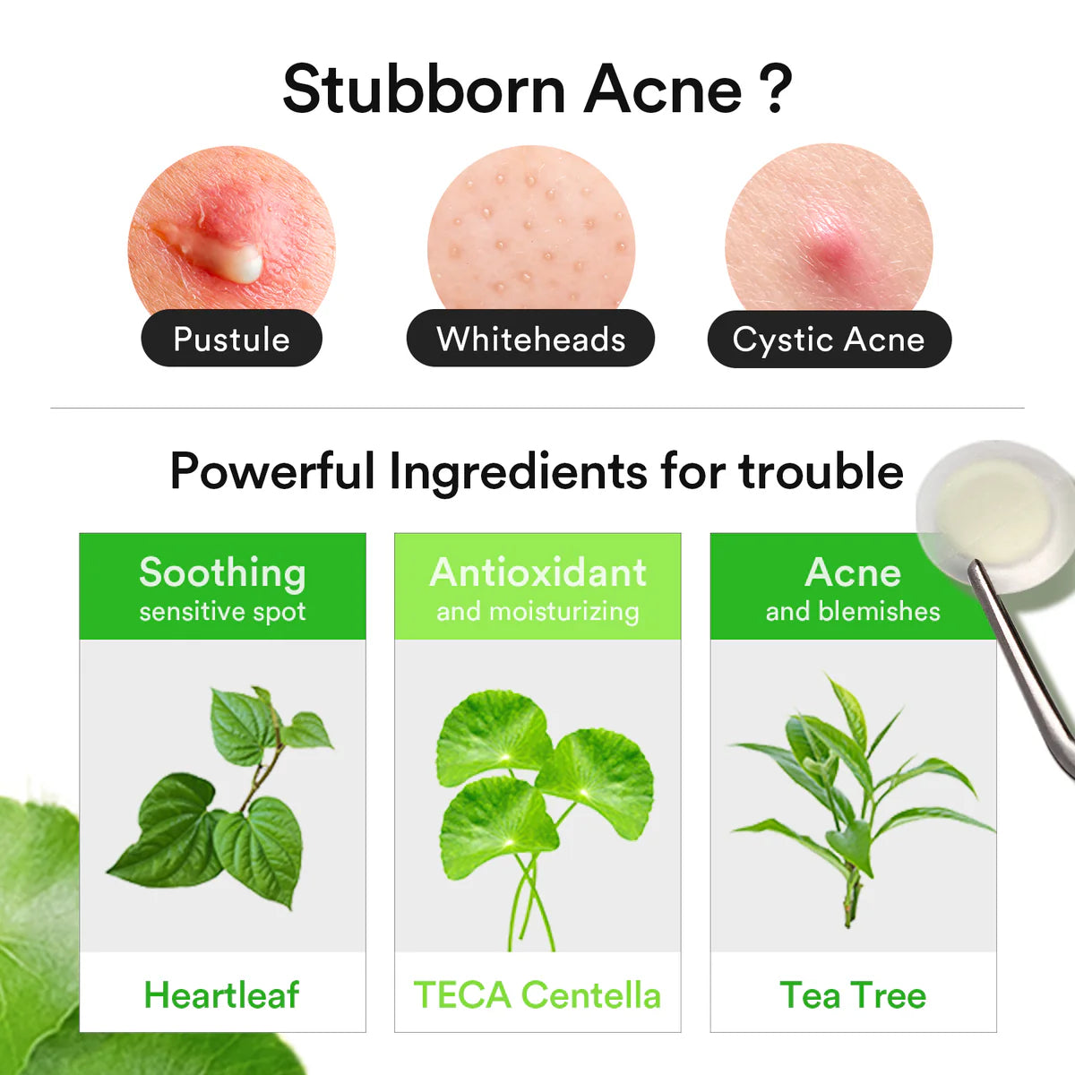 Abib Heartleaf Calming Spot Patch