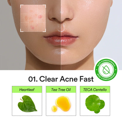 Abib Heartleaf Calming Spot Patch
