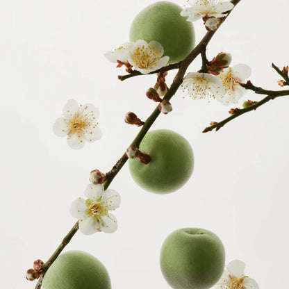 Beauty Of Joseon Green Plum Refreshing Cleanser - Coree Beauty