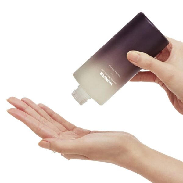 HARUHARU WONDER - WONDER Black Rice Hyaluronic Toner - Coree Beauty
