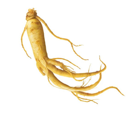 Ginseng